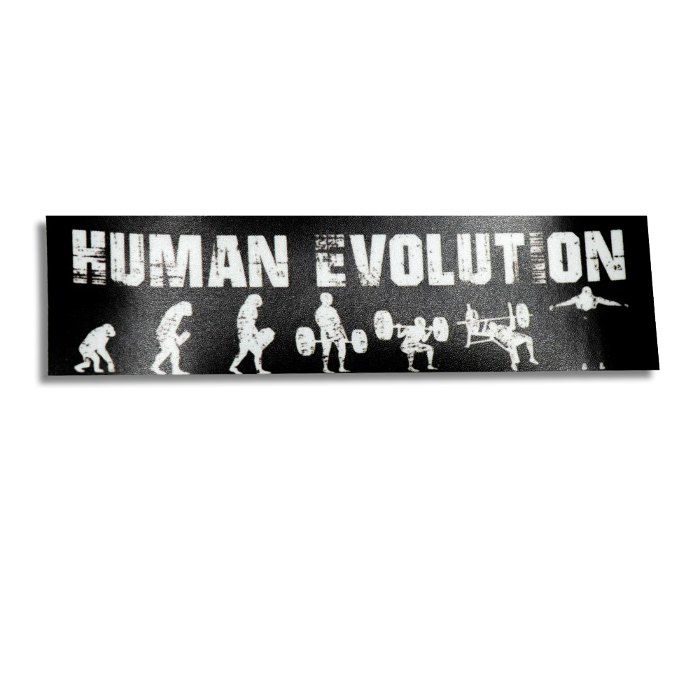 STICKER LIMITED HUMAN EVOLUTION -